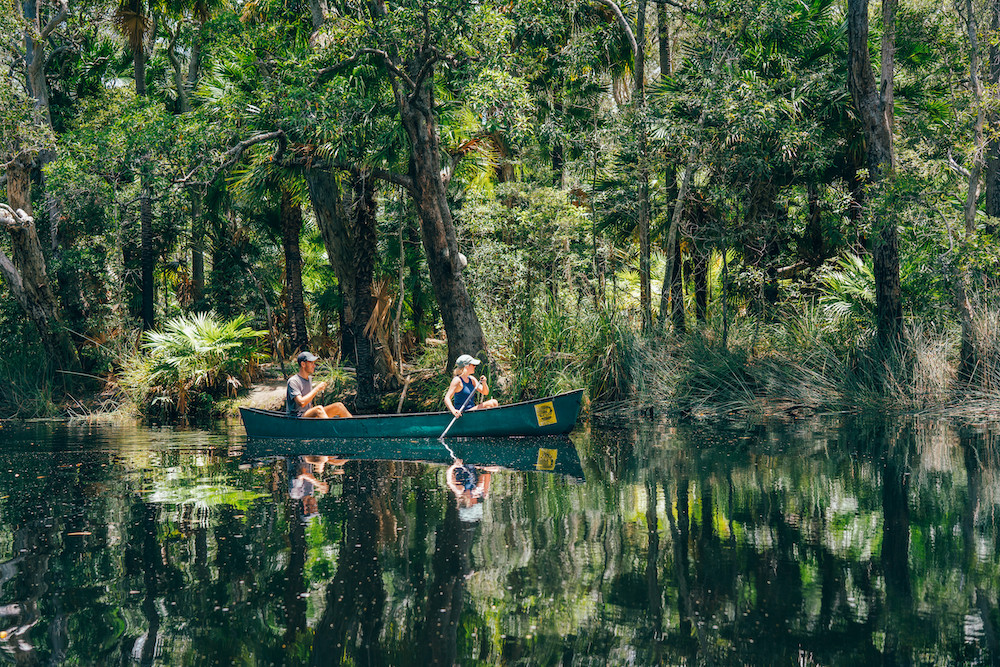 Explore the Natural Beauty of the Noosa Everglades